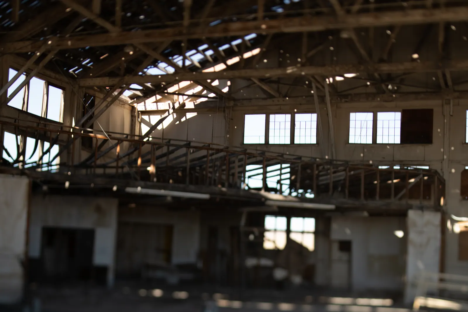 A web of wooden beams spans the high interior of an old industrial building.