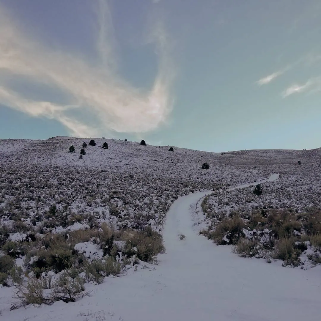 Scattered trees punctuate a broad, snow-covered hillside beneath a pale sky.