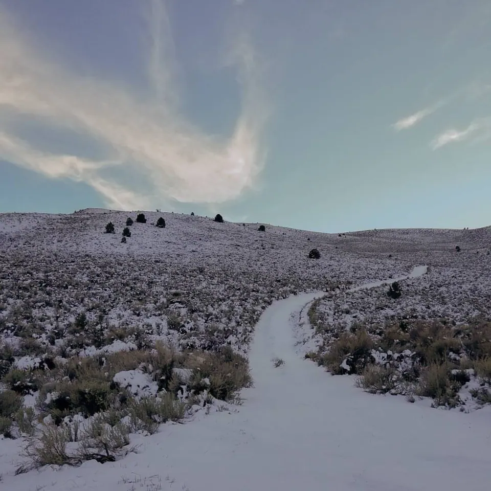 Scattered trees punctuate a broad, snow-covered hillside beneath a pale sky.