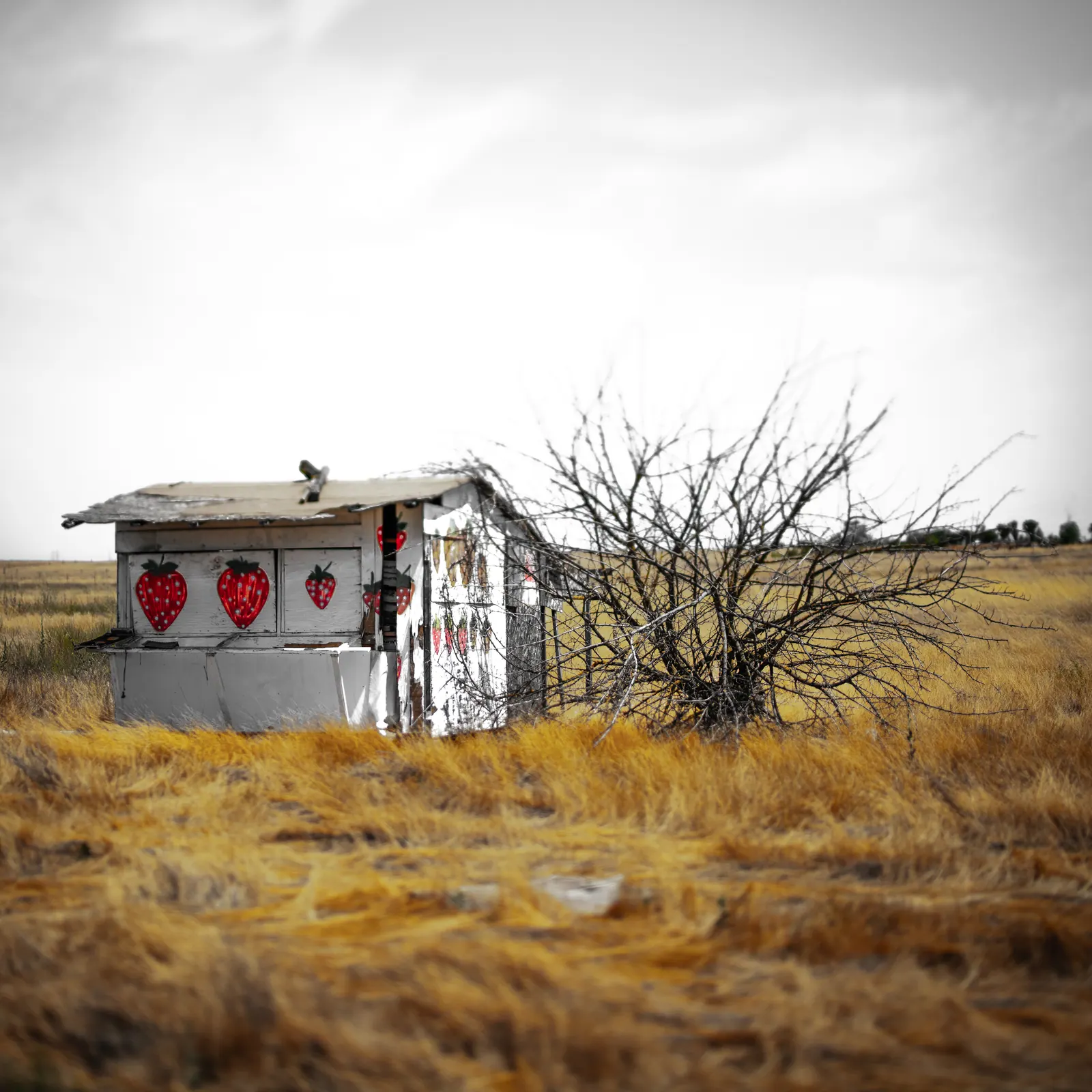 Three red hearts brighten the wall of a small abandoned structure in dry grass.