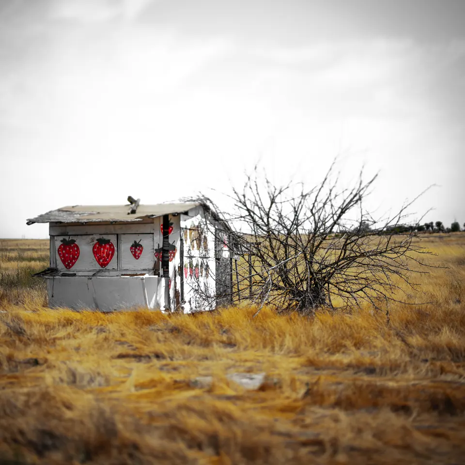 Three red hearts brighten the wall of a small abandoned structure in dry grass.