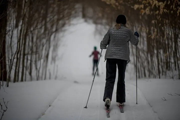 A person with ski poles follows a snowy path into a stand of bare trees.
