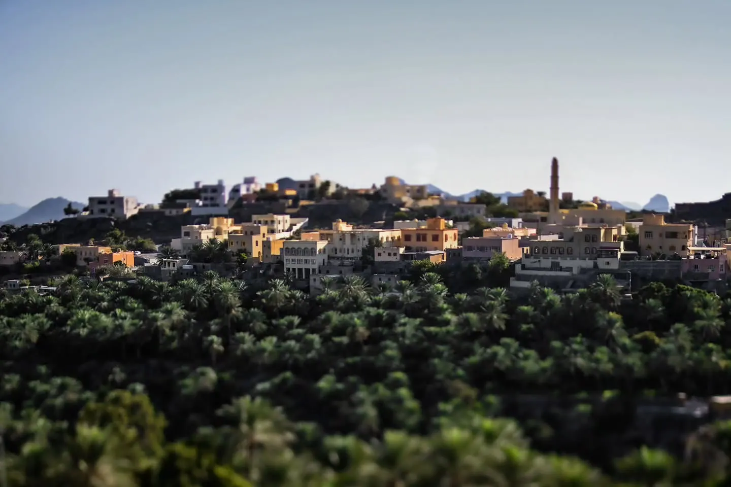 Pale buildings rise above dense trees along a rocky ridge.