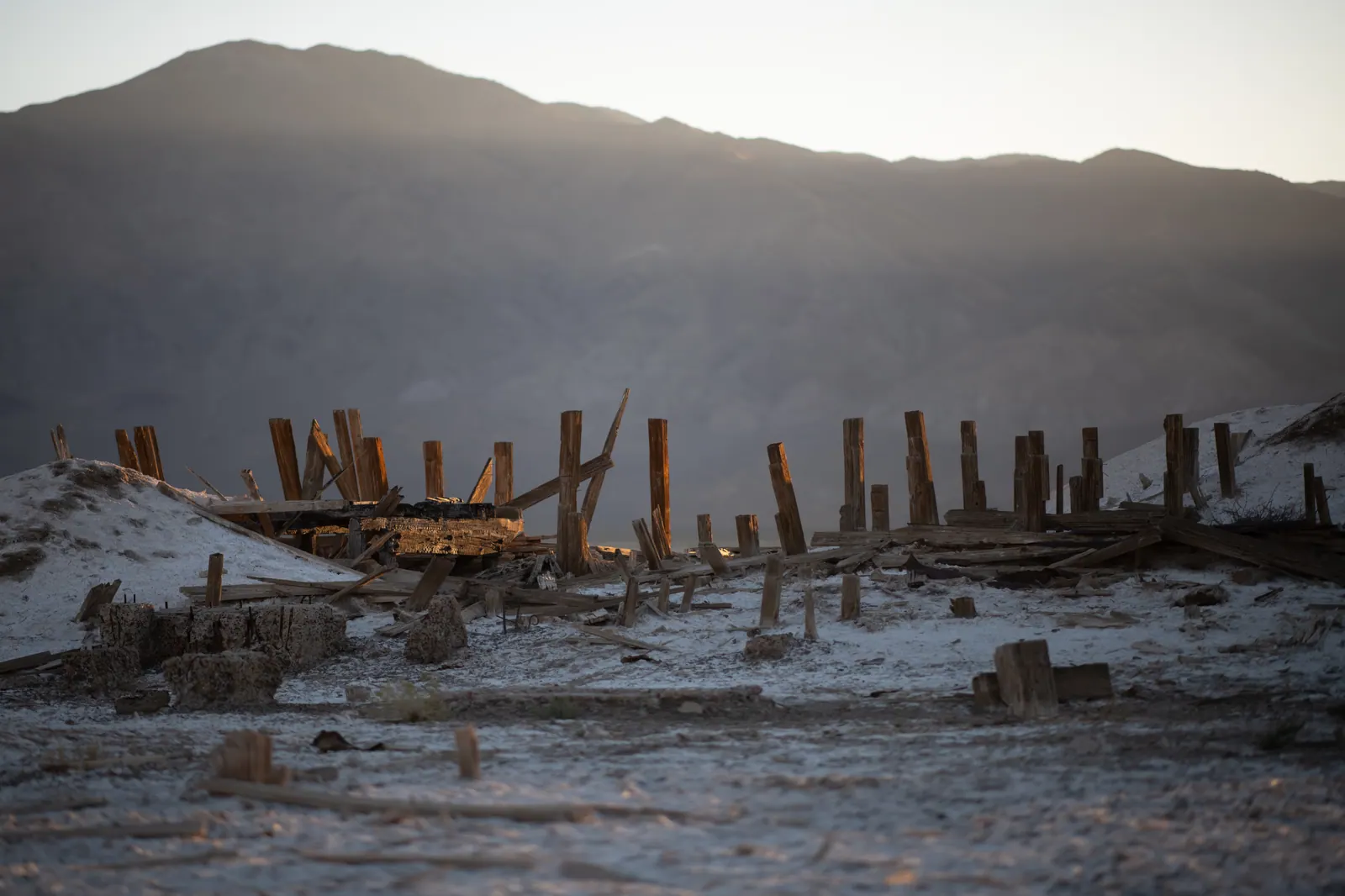 Rows of weathered wooden posts rise from pale ground below a mountain ridge.