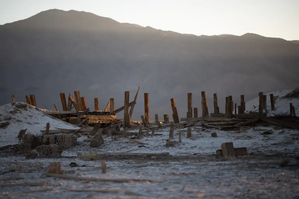 Rows of weathered wooden posts rise from pale ground below a mountain ridge.