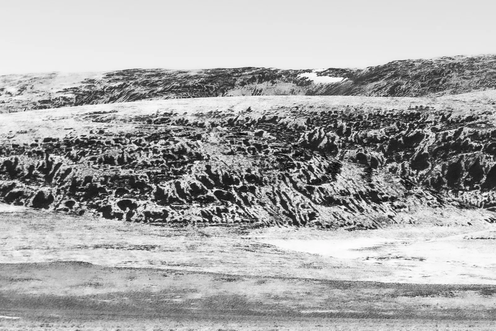 Pale light flattens a broad, scrub-covered hillside into a stark monochrome landscape.