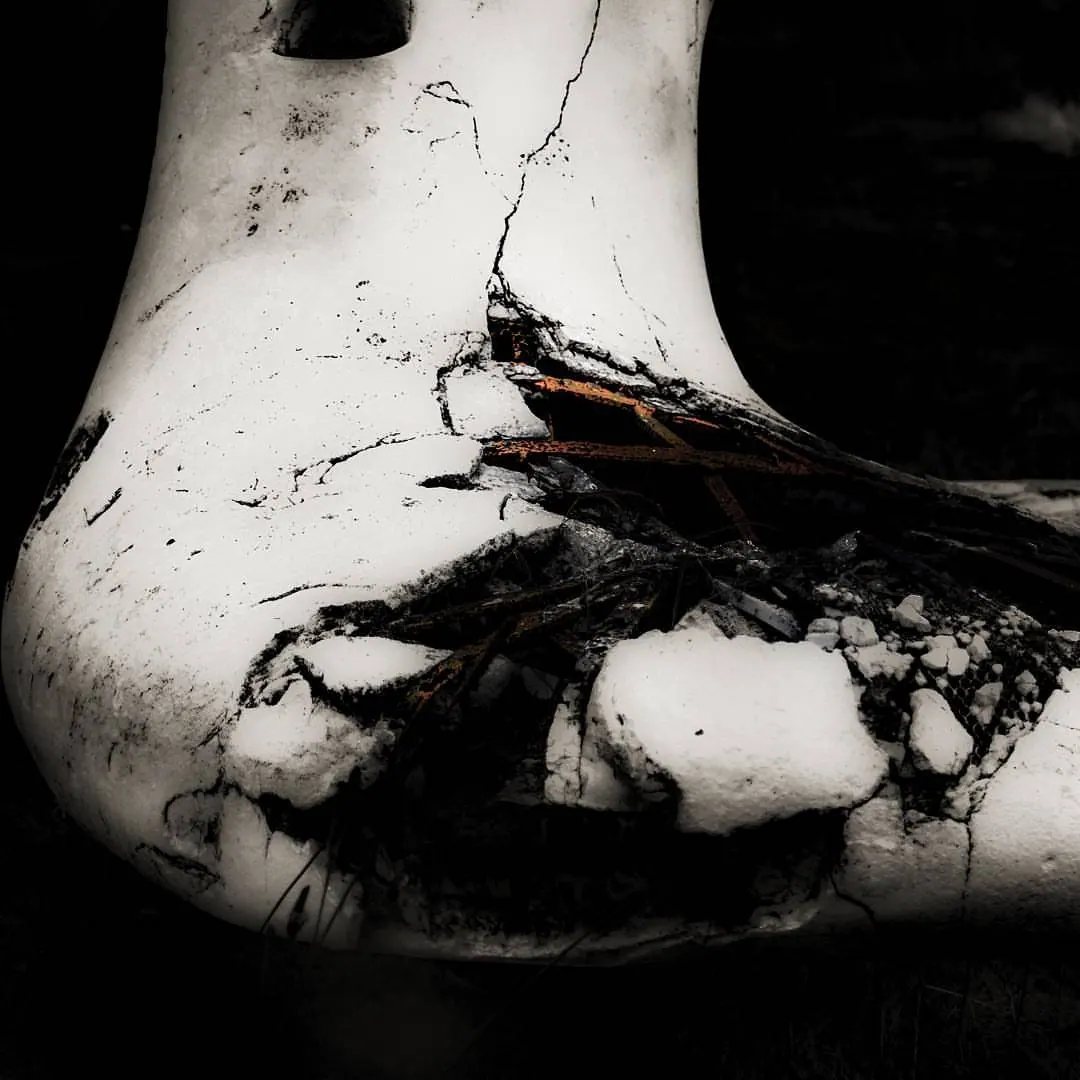 Dark roots or branches curl across a smooth white sculptural form.