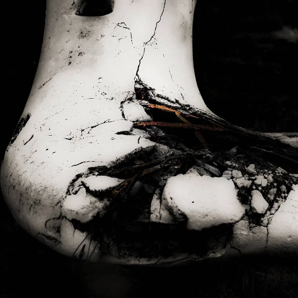 Dark roots or branches curl across a smooth white sculptural form.