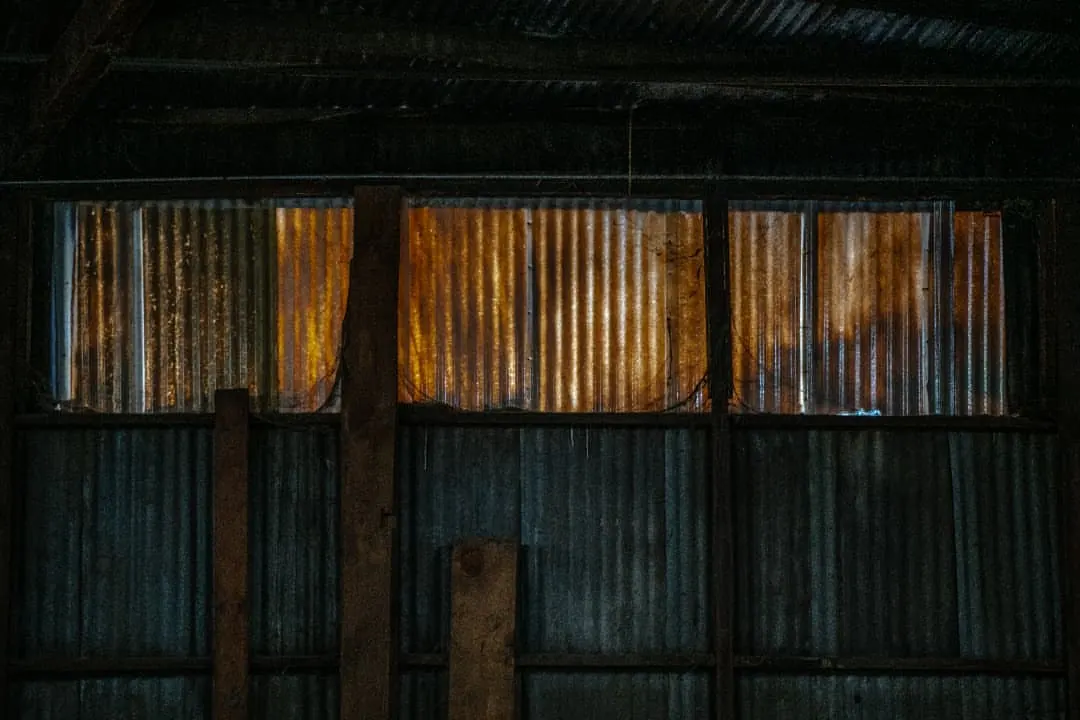 Warm reflections glow in a row of windows set into dark timber.