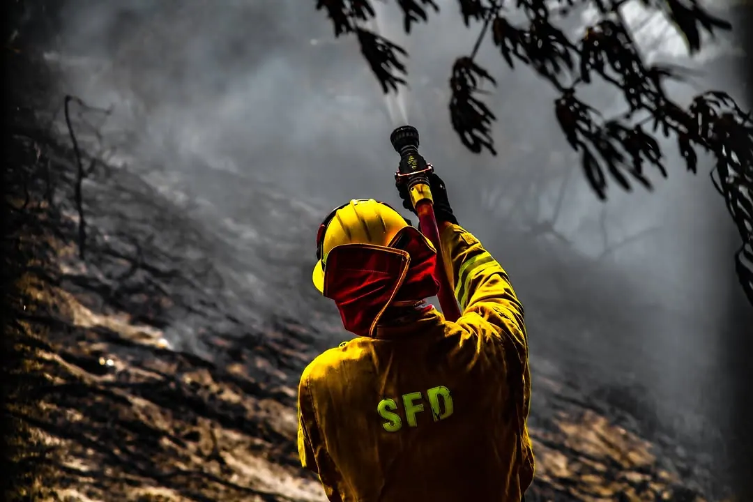 A person in a bright yellow jacket reaches upward beneath branches and smoke.